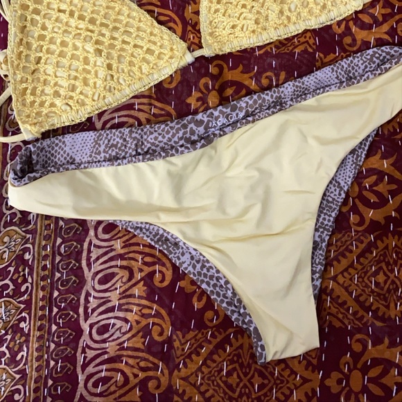 acacia - Picture 2 of 3